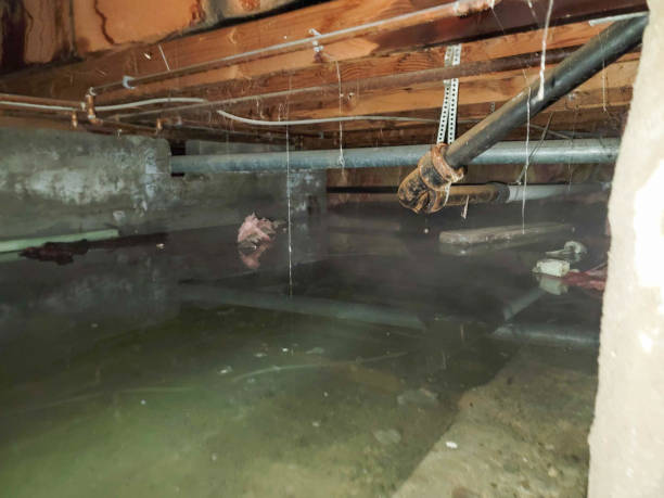 Water damage restoration process in Coal City, IL