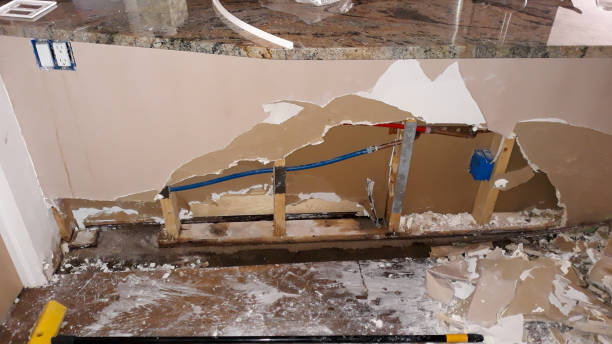 Best Flood restoration services  in Coal City, IL