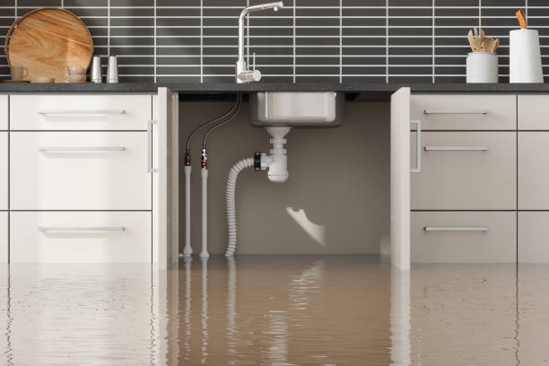 Best Flood damage cleanup  in Coal City, IL