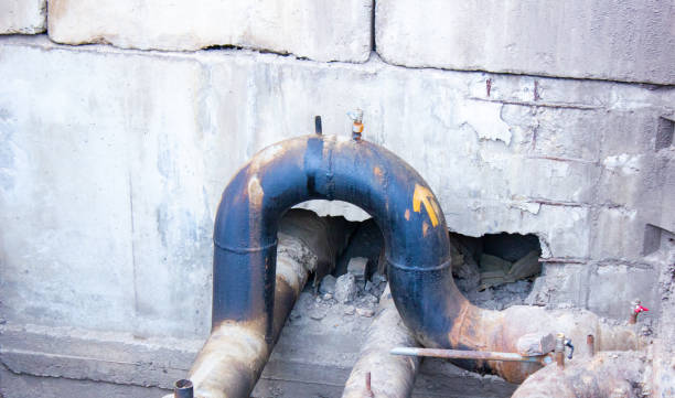 Best Water damage contractors near me  in Coal City, IL