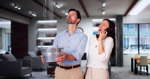 Best Water damage restoration company  in Coal City, IL